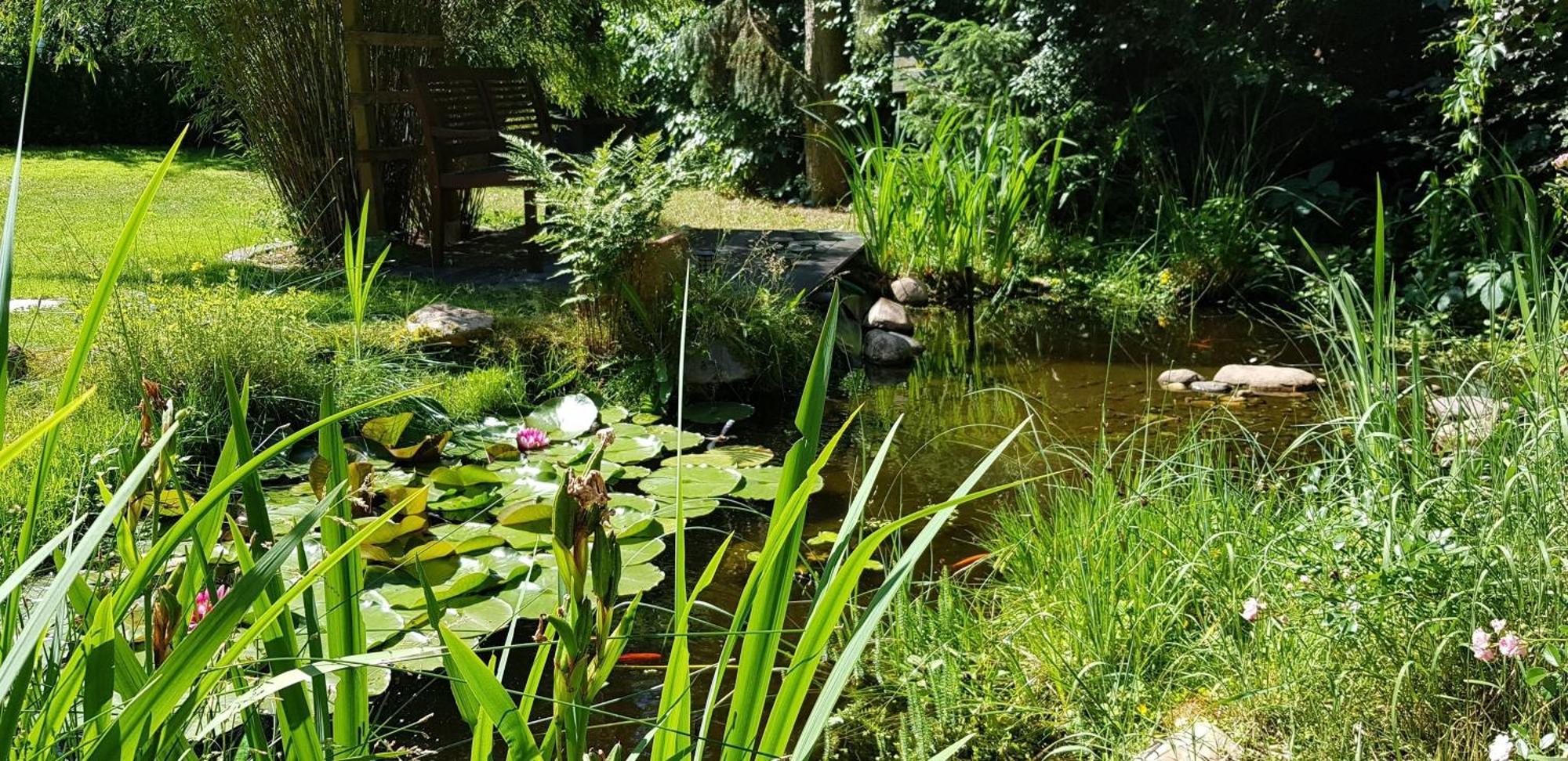 Ferienhaus Fichtenwalde เบลิทซ์ ภายนอก รูปภาพ